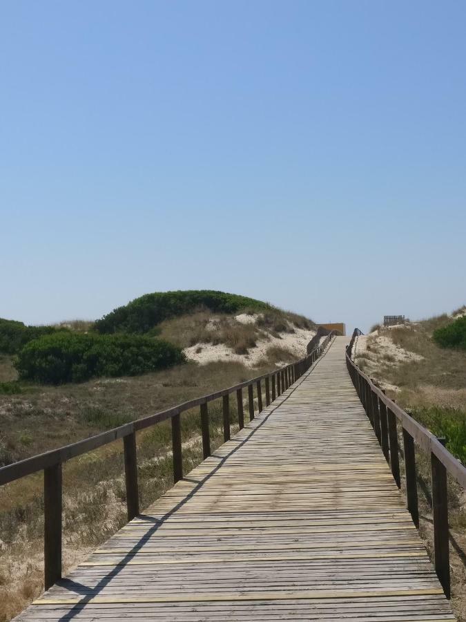 Casa Da Ilha Dos Ovos Daire Aveiro Dış mekan fotoğraf