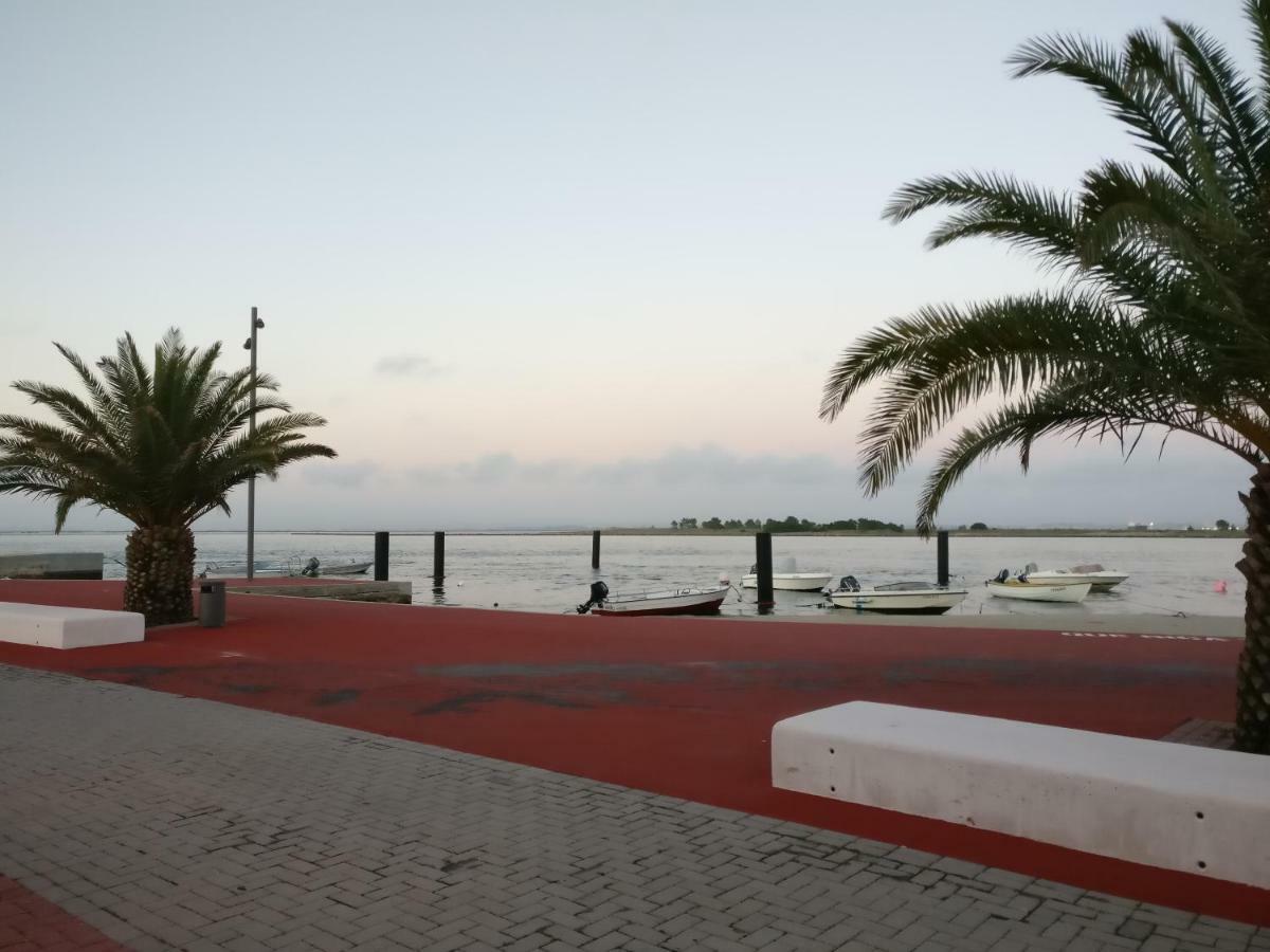 Casa Da Ilha Dos Ovos Daire Aveiro Dış mekan fotoğraf